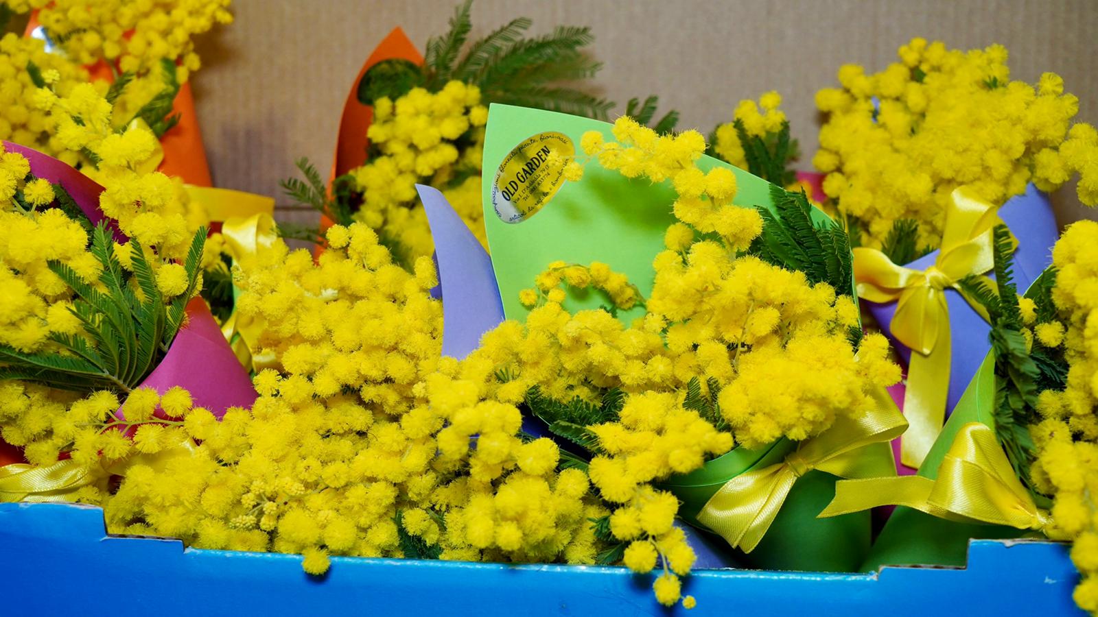 Galleria 8 Marzo: presentate le azioni regionali per l'autonomia delle donne vittime di violenze - Diapositiva 2 di 7