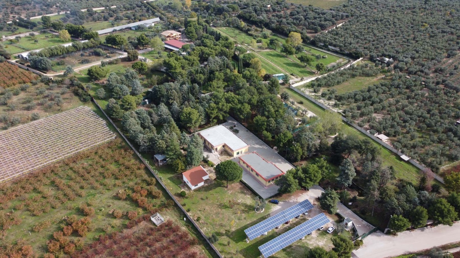 Galleria Il Dipartimento  Agricoltura della Regione  Puglia dona 500 litri di Olio Evo alla Caritas di Puglia - Diapositiva 3 di 13
