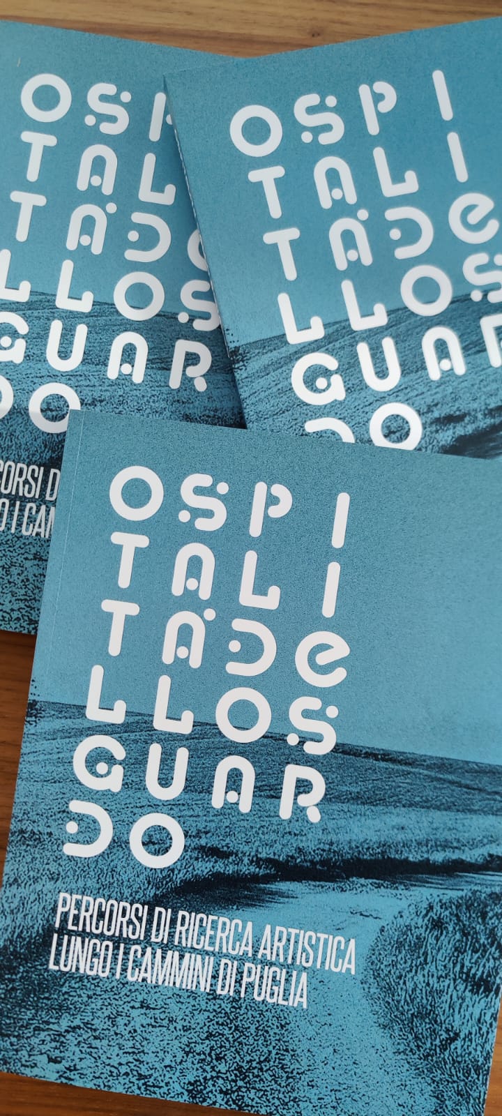 Galleria Al PACT l'inaugurazione dell’opera in.Terra di Daniela Corbascio e la presentazione del catalogo 