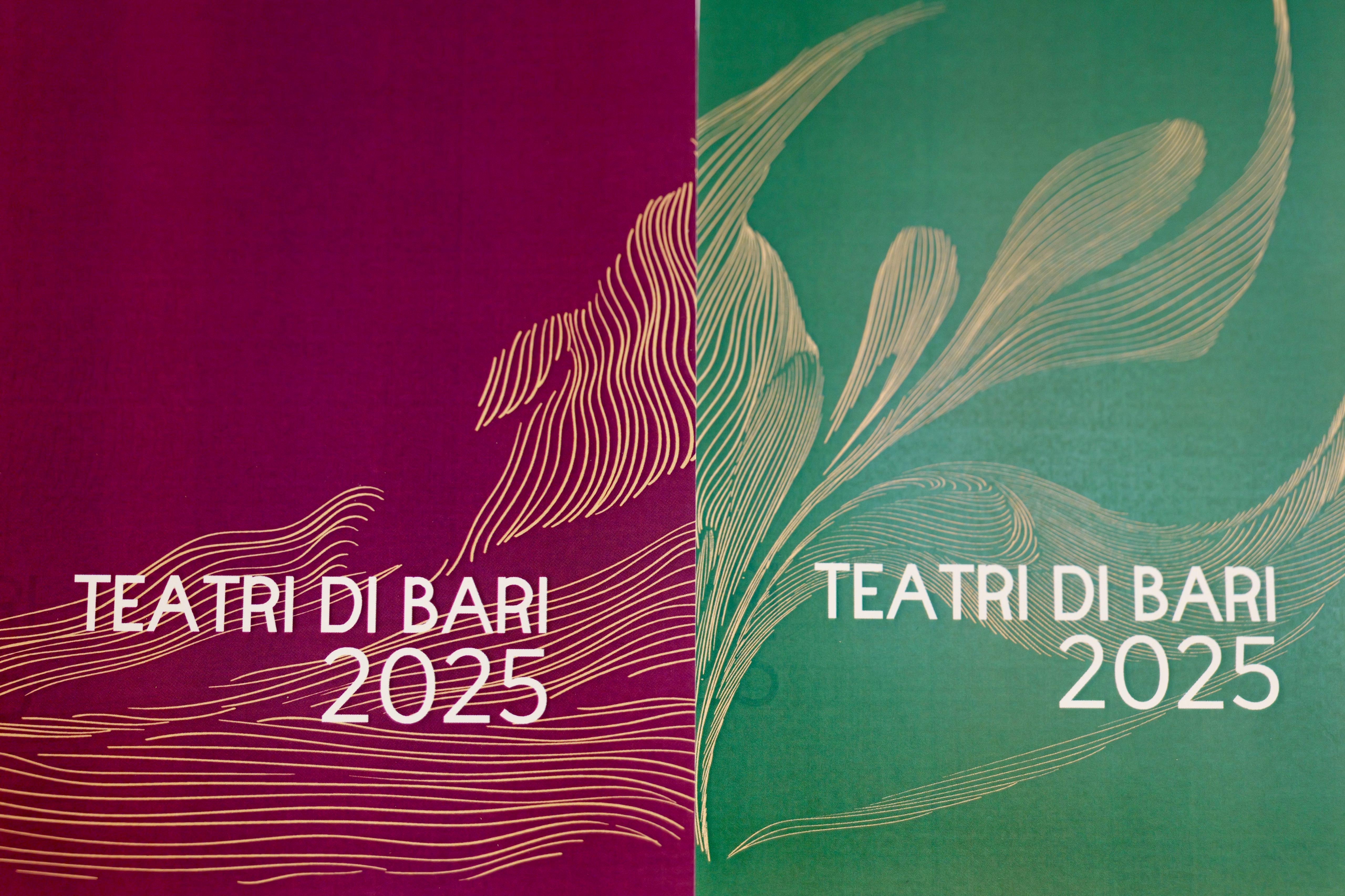 Galleria IL PROGETTO DI TEATRI DI BARI PER IL TRIENNIO 2025-2027 COME TEATRO DELLA CITTÀ DI RILEVANTE INTERESSE CULTURALE. GIANNI FORTE NOMINATO DIRETTORE ARTISTICO INTER/NAZIONALE IN CONDIREZIONE CON TERESA LUDOVICO - Diapositiva 6 di 10
