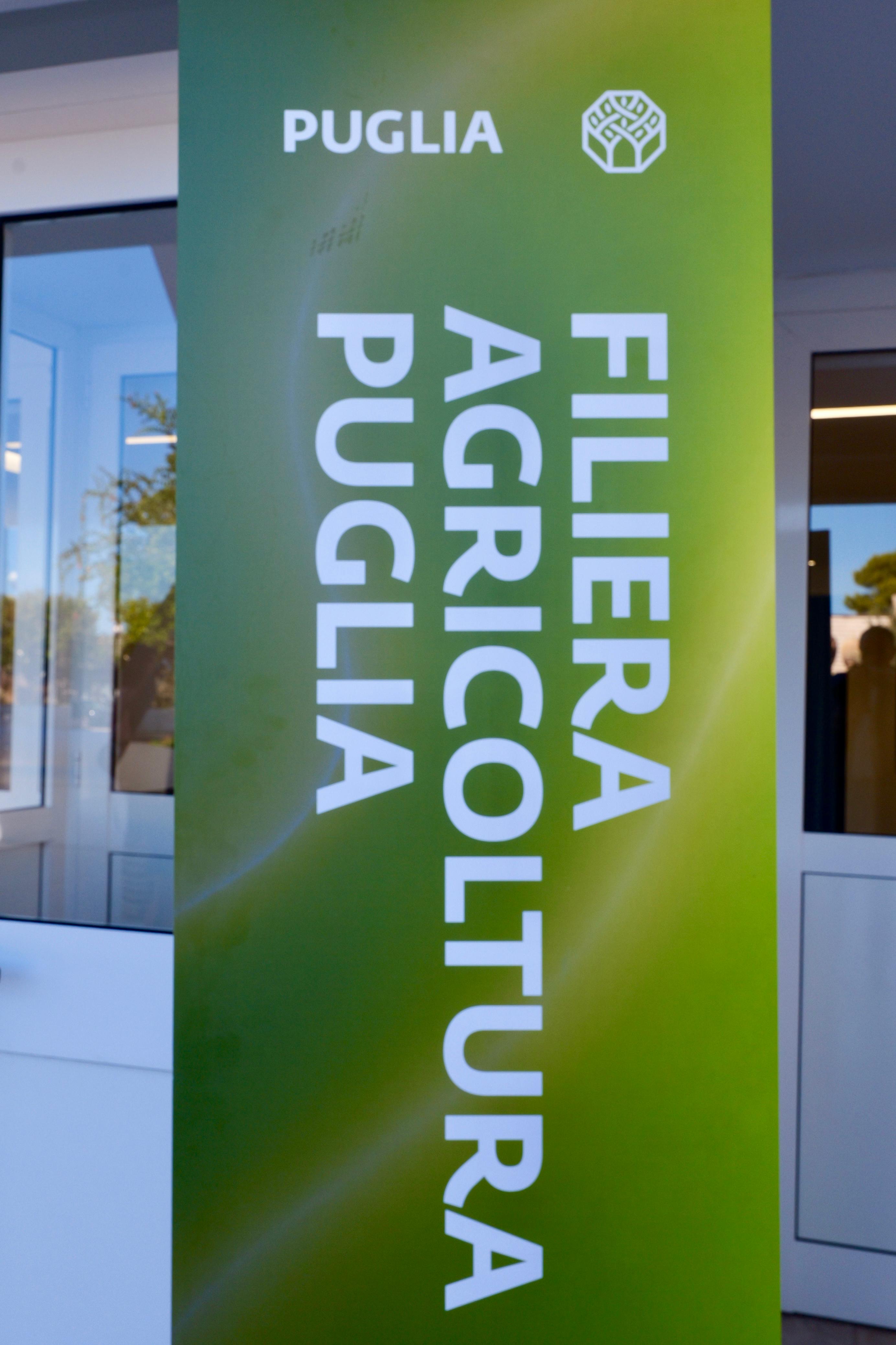 Galleria Fiera del Levante, si chiude la settimana di “Tutta la Puglia, abbiamo un programma da realizzare insieme”: 150 temi, oltre 500 interventi e quasi 3000 partecipanti - Diapositiva 17 di 24