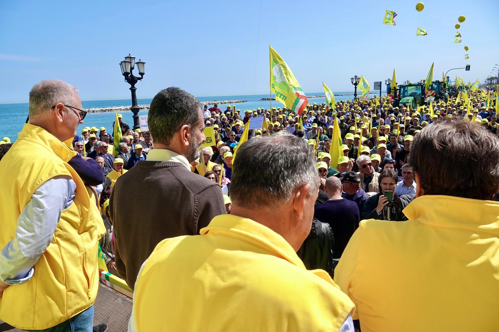 Galleria Decaro e Paolicelli incontrano gli agricoltori alla manifestazione regionale di Coldiretti - Diapositiva 11 di 12