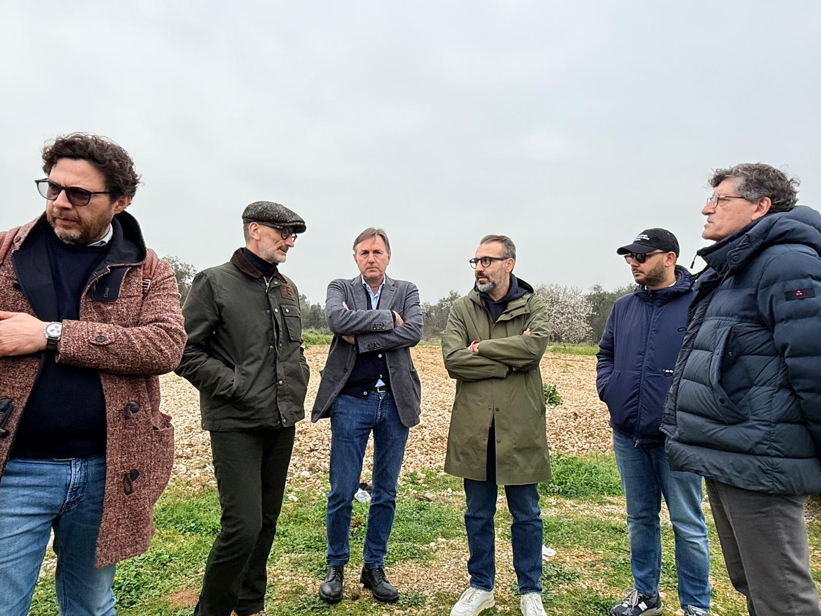 Galleria Xylella, chiuso il monitoraggio 2026 su area Triggiano. Paolicelli: “Nessuna espansione dopo due anni di interventi” - Diapositiva 4 di 4