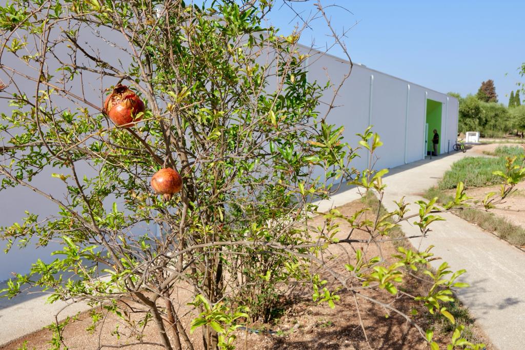 Galleria L’assessore Leo all’inaugurazione della nuova scuola innovativa ed ecosostenibile a Bitetto - Diapositiva 3 di 22