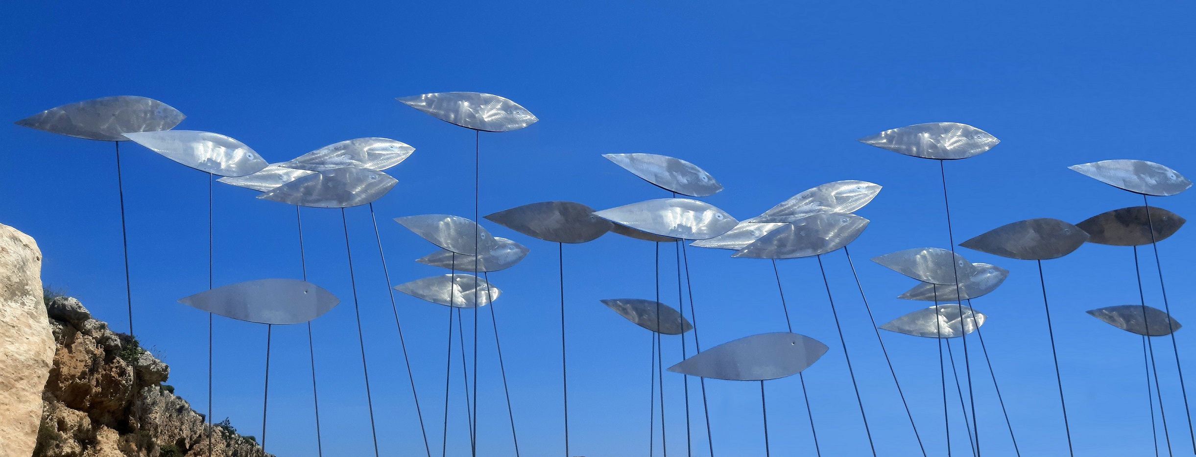 Galleria Tremiti Music Festival 2022: al via la quinta edizione - Diapositiva 5 di 5