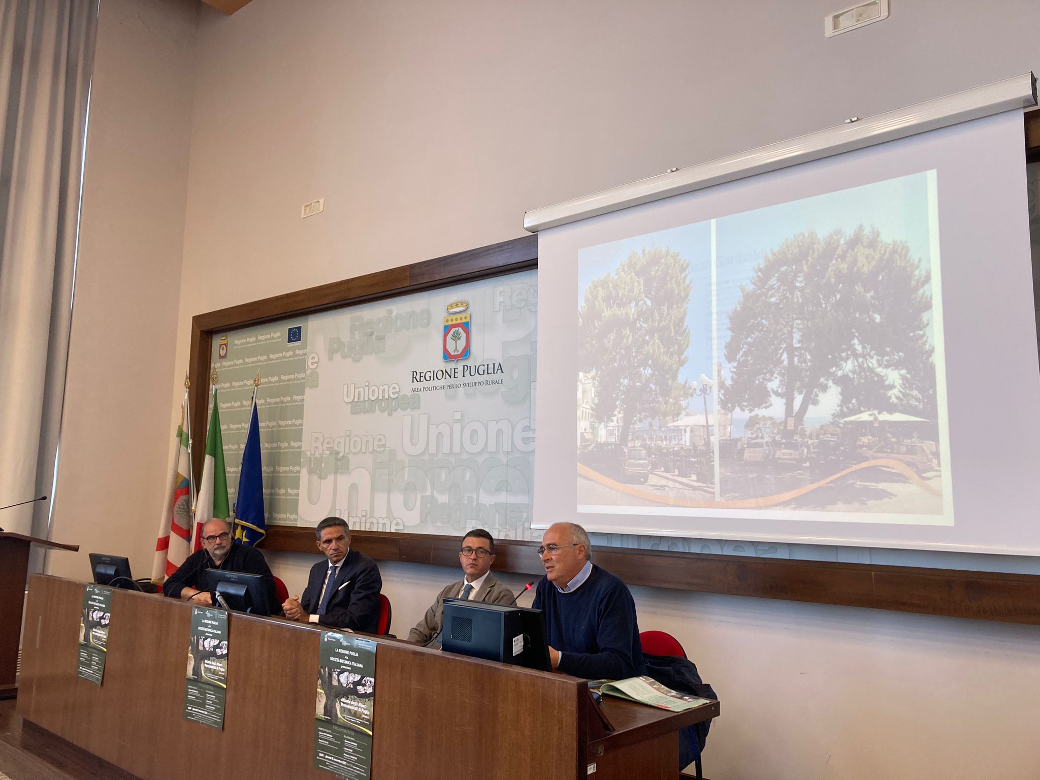 Galleria Presentato il secondo volume dell'Atlante degli alberi monumentali di Puglia - Diapositiva 9 di 13