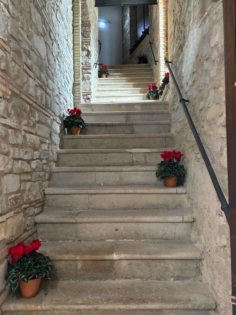 Galleria INAUGURAZIONE DEL MOA DI ACCADIA: TRA PRESENTE E FUTURO - Diapositiva 5 di 12