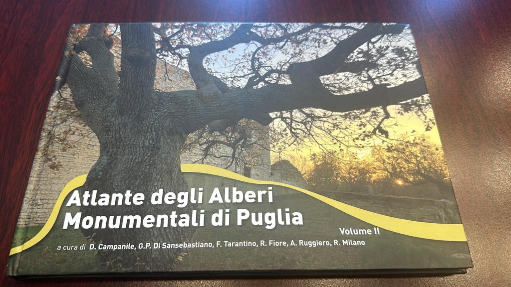 Galleria Presentato il secondo volume dell'Atlante degli alberi monumentali di Puglia - Diapositiva 8 di 13