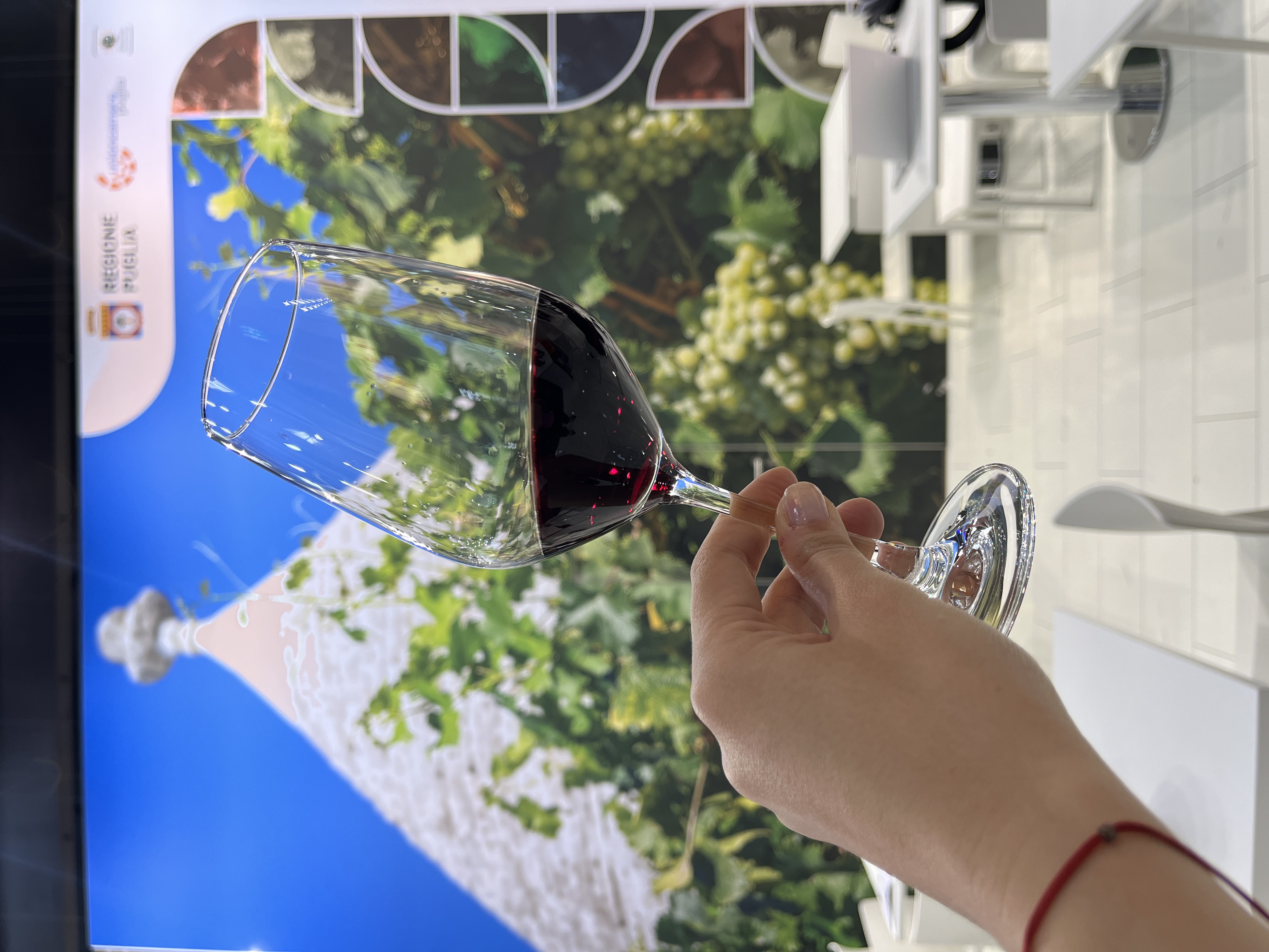 Galleria Prowein 2023, la Puglia del vino in vetrina in Germania - Diapositiva 2 di 3