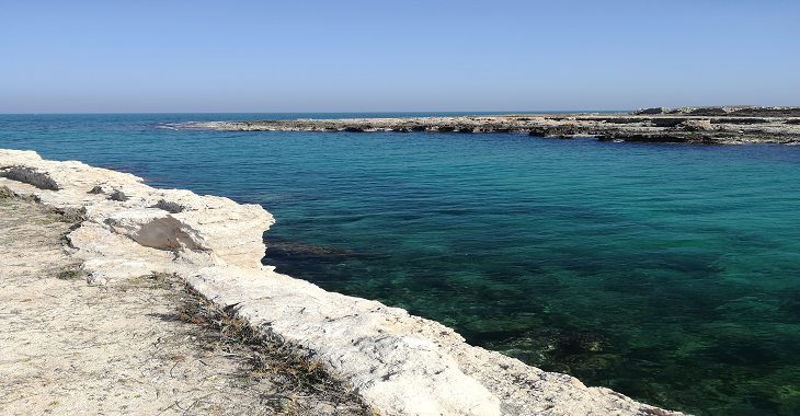 “Mare Democratico”, operativi dal 22 maggio i portali regionali: al via i due avvisi per spiagge libere valorizzate e accessibili “Mare Democratico”, operativi dal 22 maggio i portali regionali: al via i due avvisi per spiagge libere valorizzate e accessibili