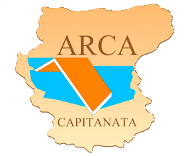 Icona