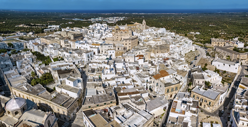 contributo affitti 2019