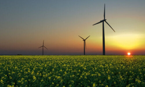 Immagine senza copyright tratta da rawpixel.com